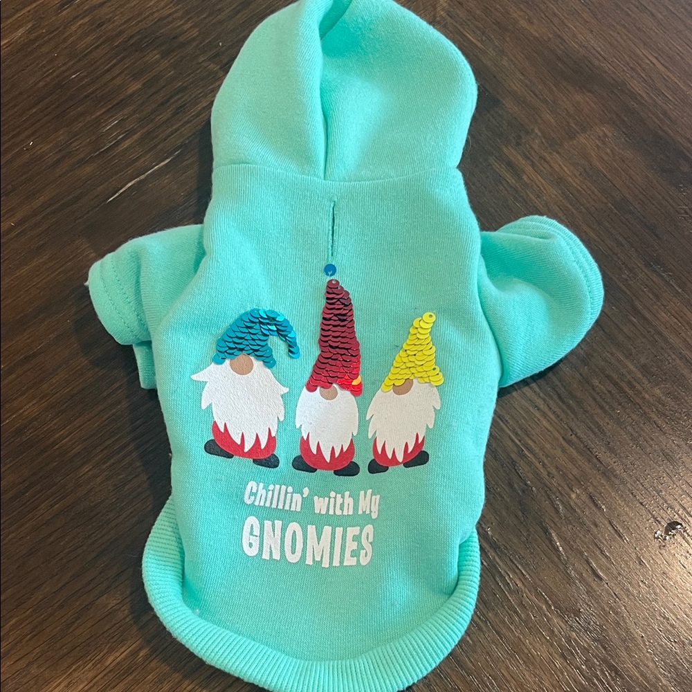 Teal Dog Hoodie with Gnome Design
